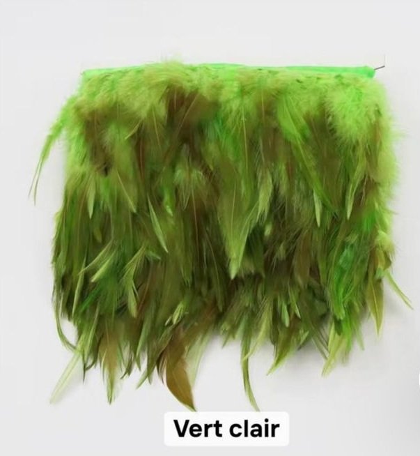 Franges Plumes 10 cm – Image 15