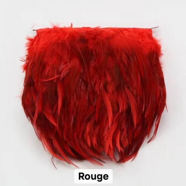 Franges Plumes 10 cm – Image 8