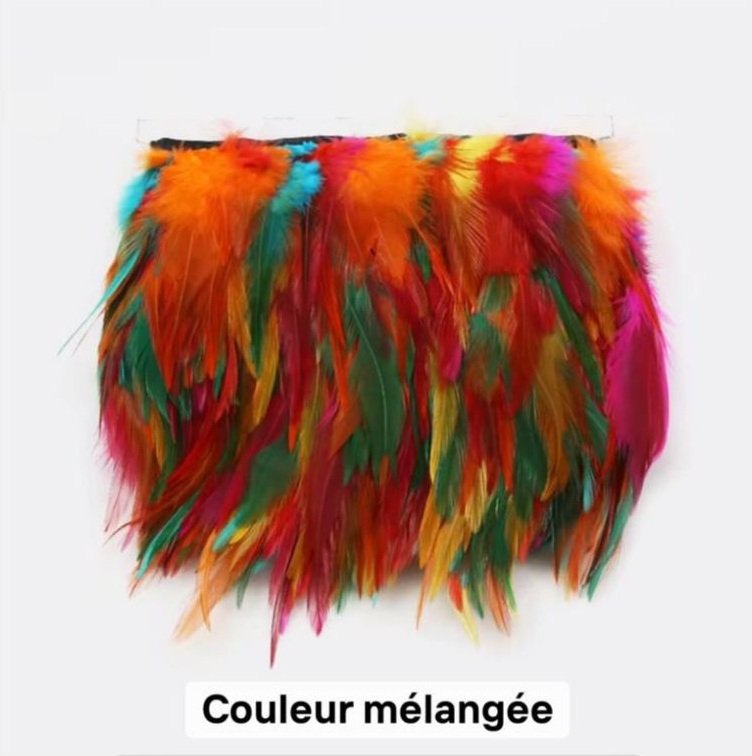 Franges Plumes 10 cm – Image 14